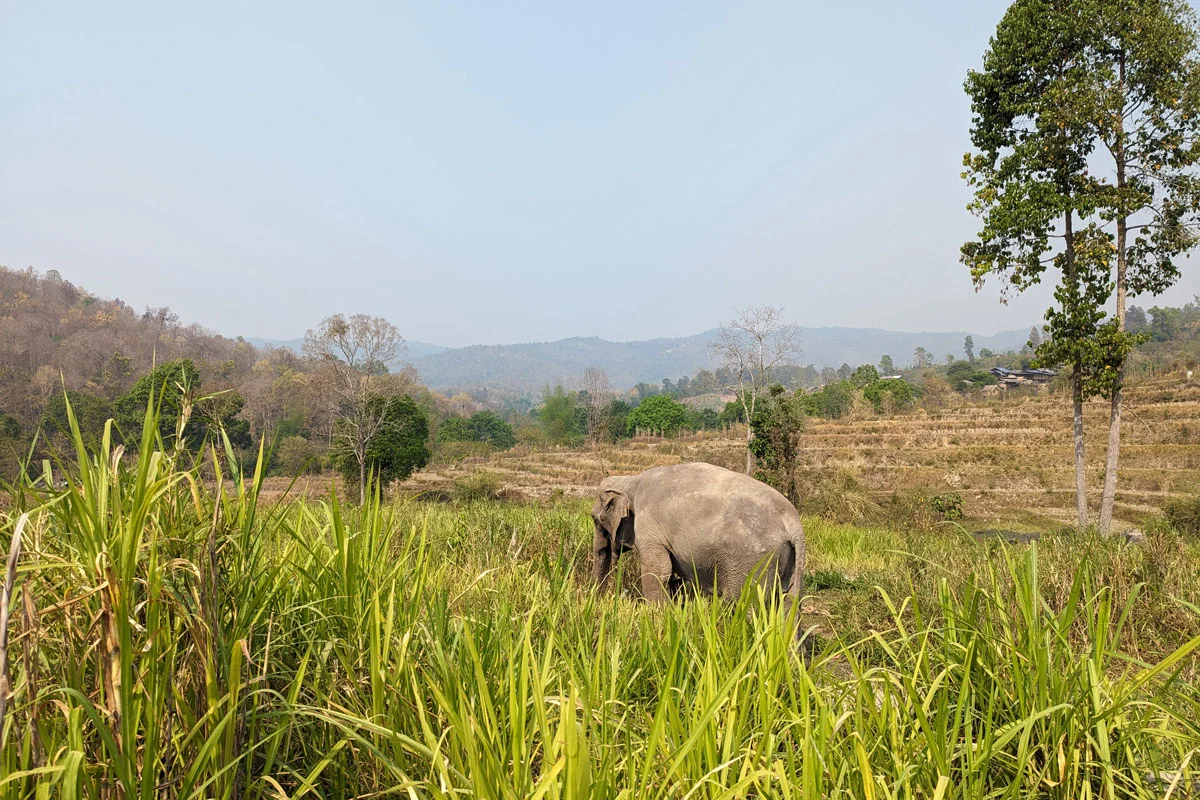 Destination Thaïlande Nord Asie