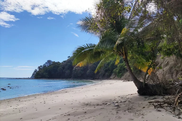 plage cabo blanco montezuma destination costa rica