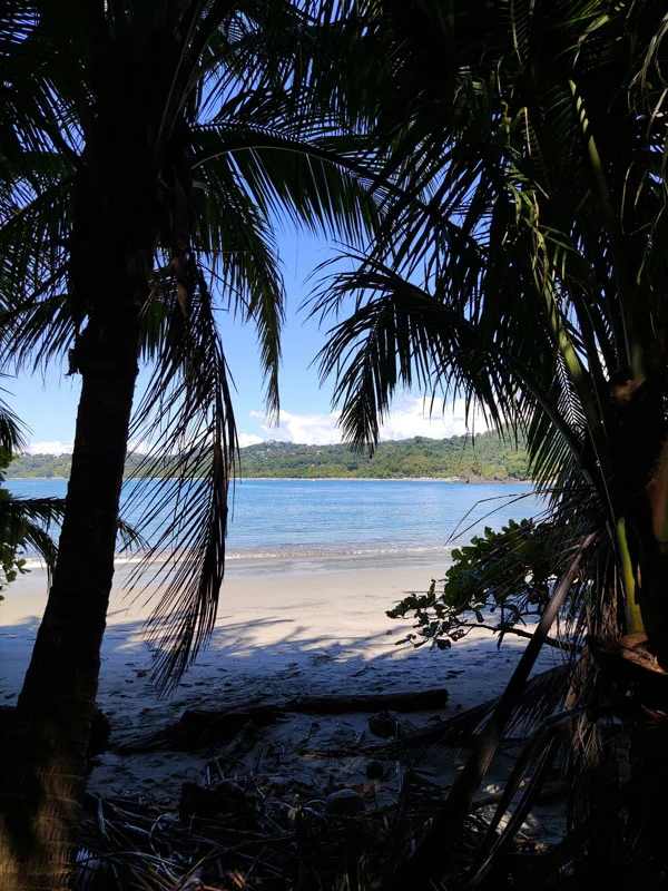 Plage de Manuel Antonio La plage du parc national Manuel Antonio à Quepos