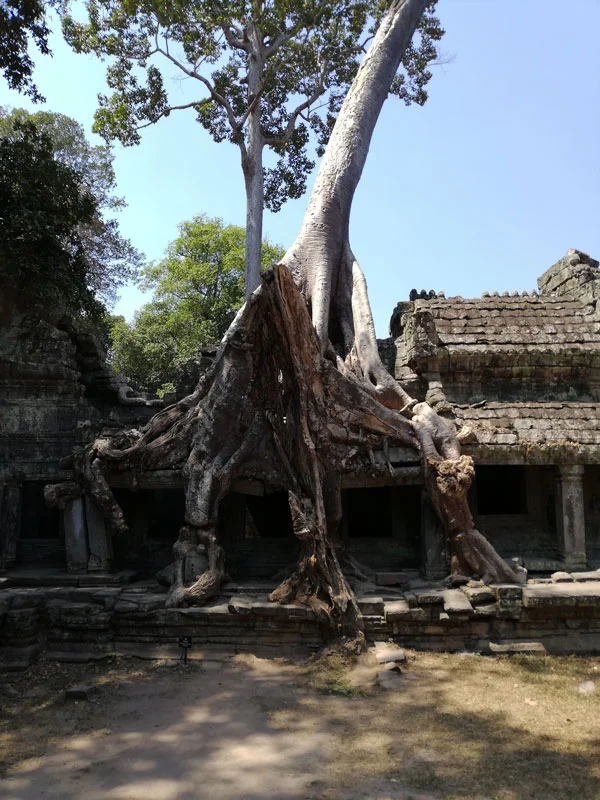 Preah Khan preah khan temple angkor siem riep