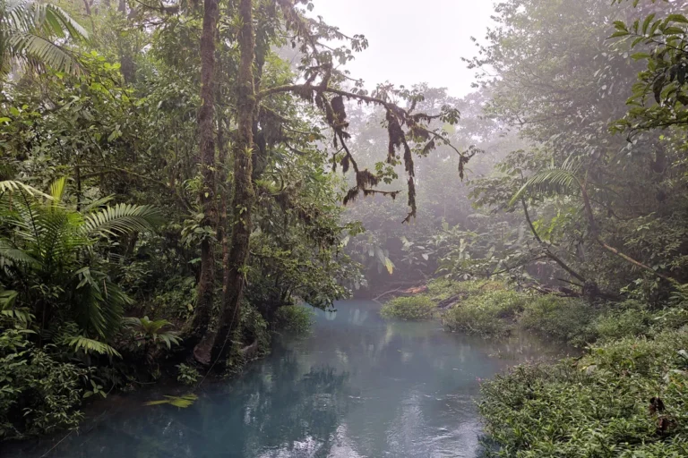 rio celeste rivière jungle costa rica