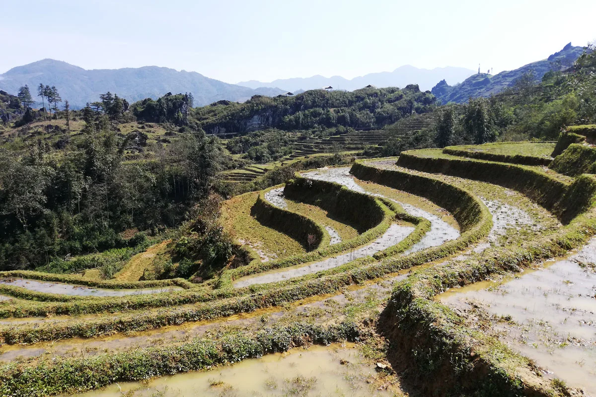 Sa Pa sa pa paysage rizières nord vietnam