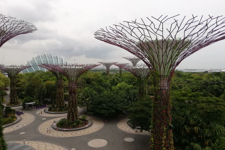 supertrees gardens by the bay singapour city-trip destination blog voyage