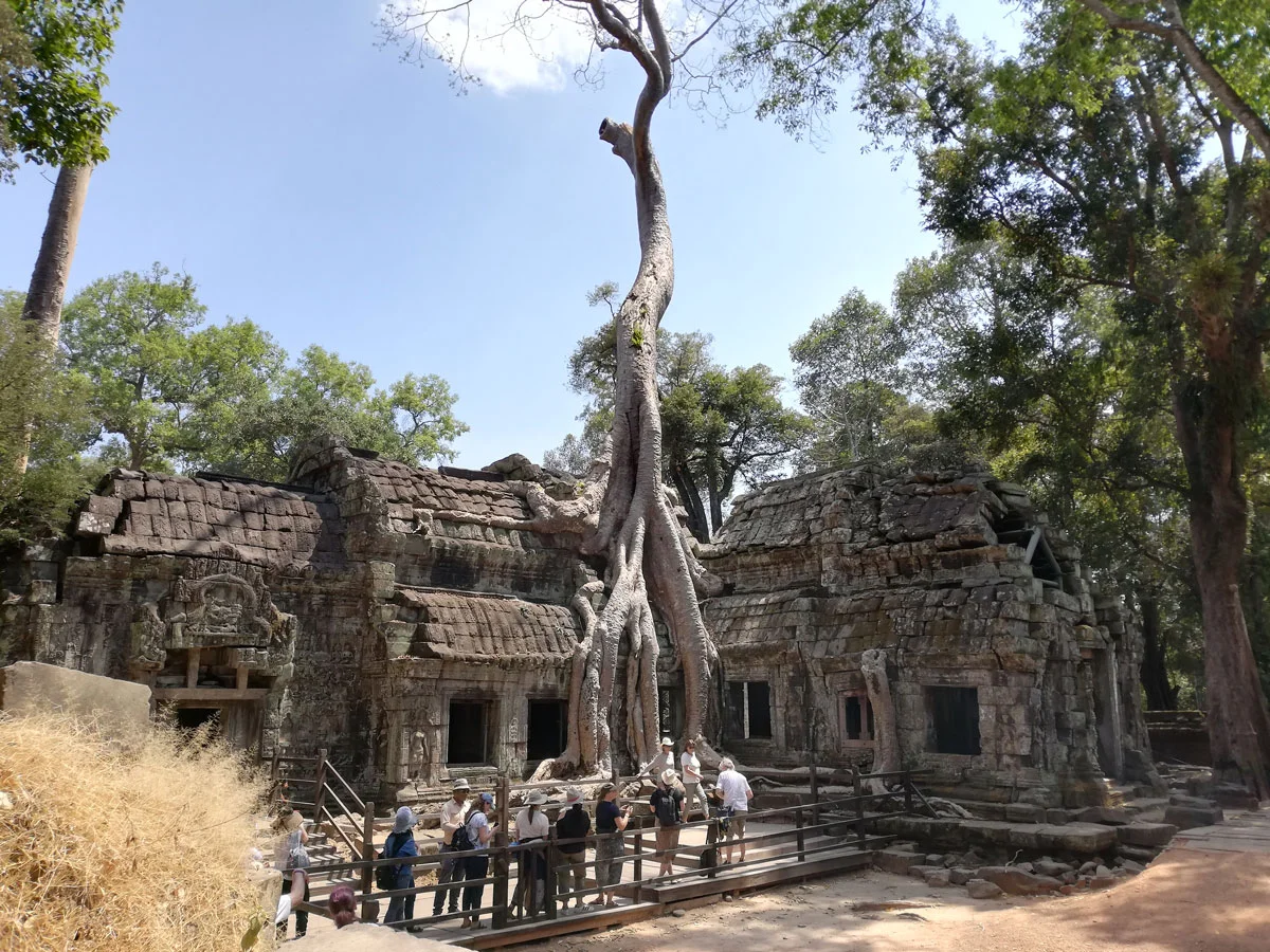 Ta Prohm ta prohm temple angkor siem riep
