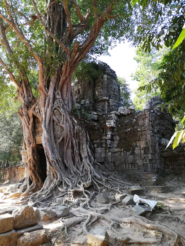 Ta Som ta som temple angkor siem riep