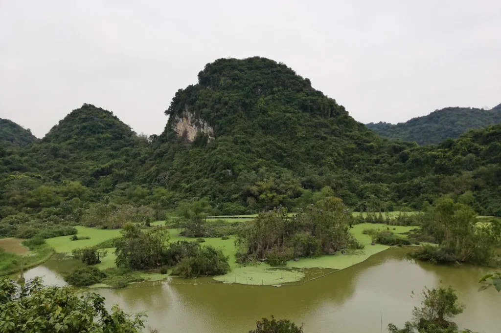 Le parc national de Thung Nham à Ninh Binh thung nham national park ninh binh