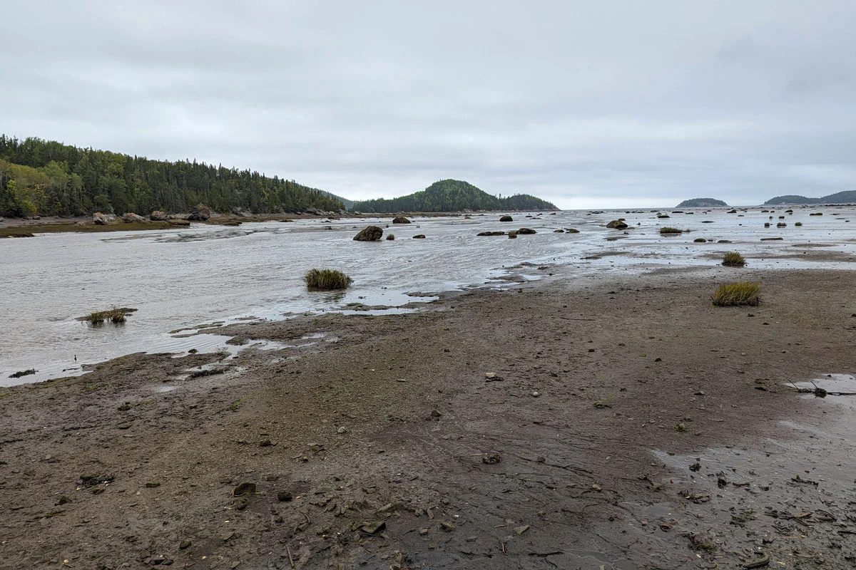 On aurait rêvé une meilleure conclusion parc national du bic fin road trip québec