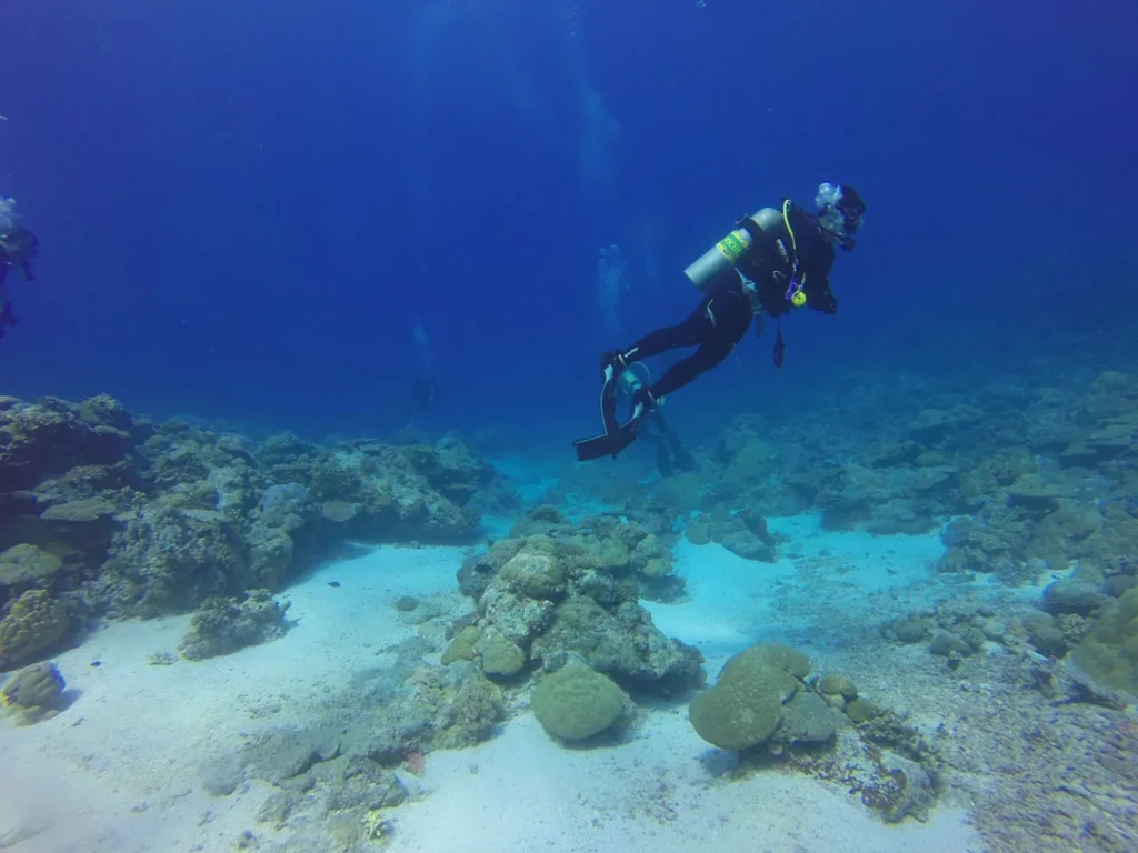 Cours de plongée dans la mer des Caraïbes au Honduras