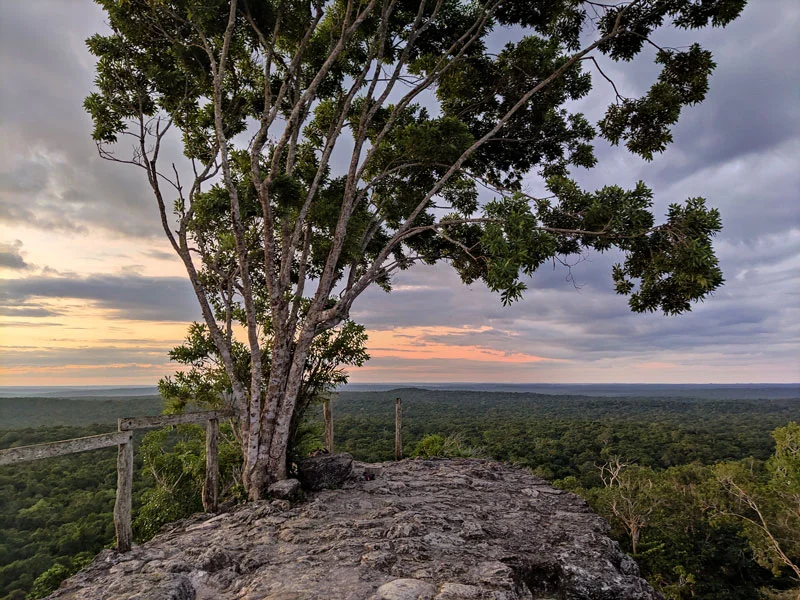 Au sommet d'El Mirador sommet el mirador jungle guatemala trek temple maya