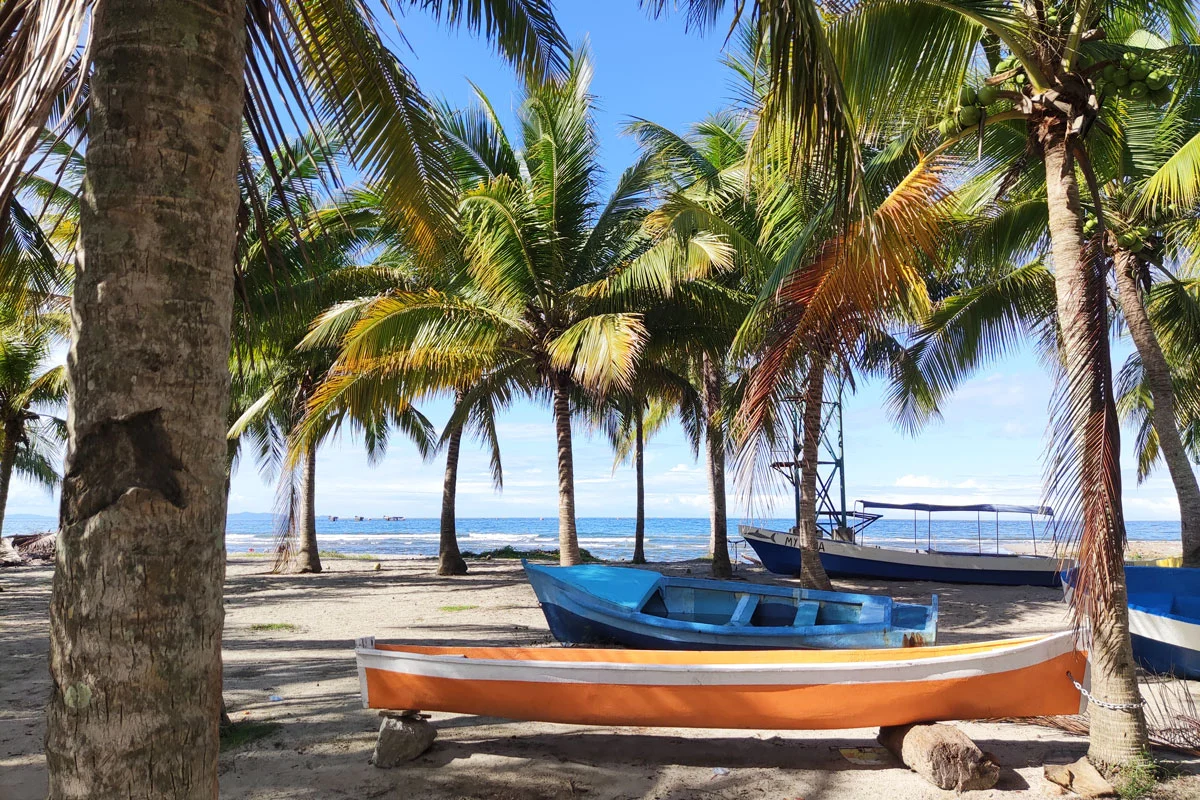 Bateaux et palmiers sur une plage de Tela