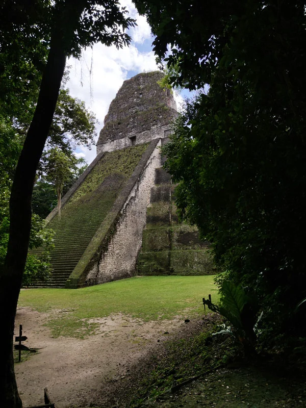 Un temple entre les arbres à Tikal temple maya tikal flores jungle