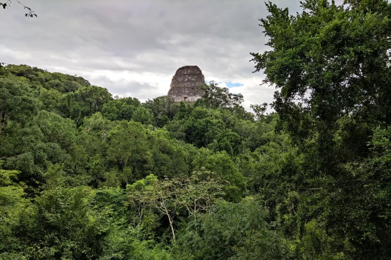 tikal destination guatemala itinéraire blog voyage timautourdumonde