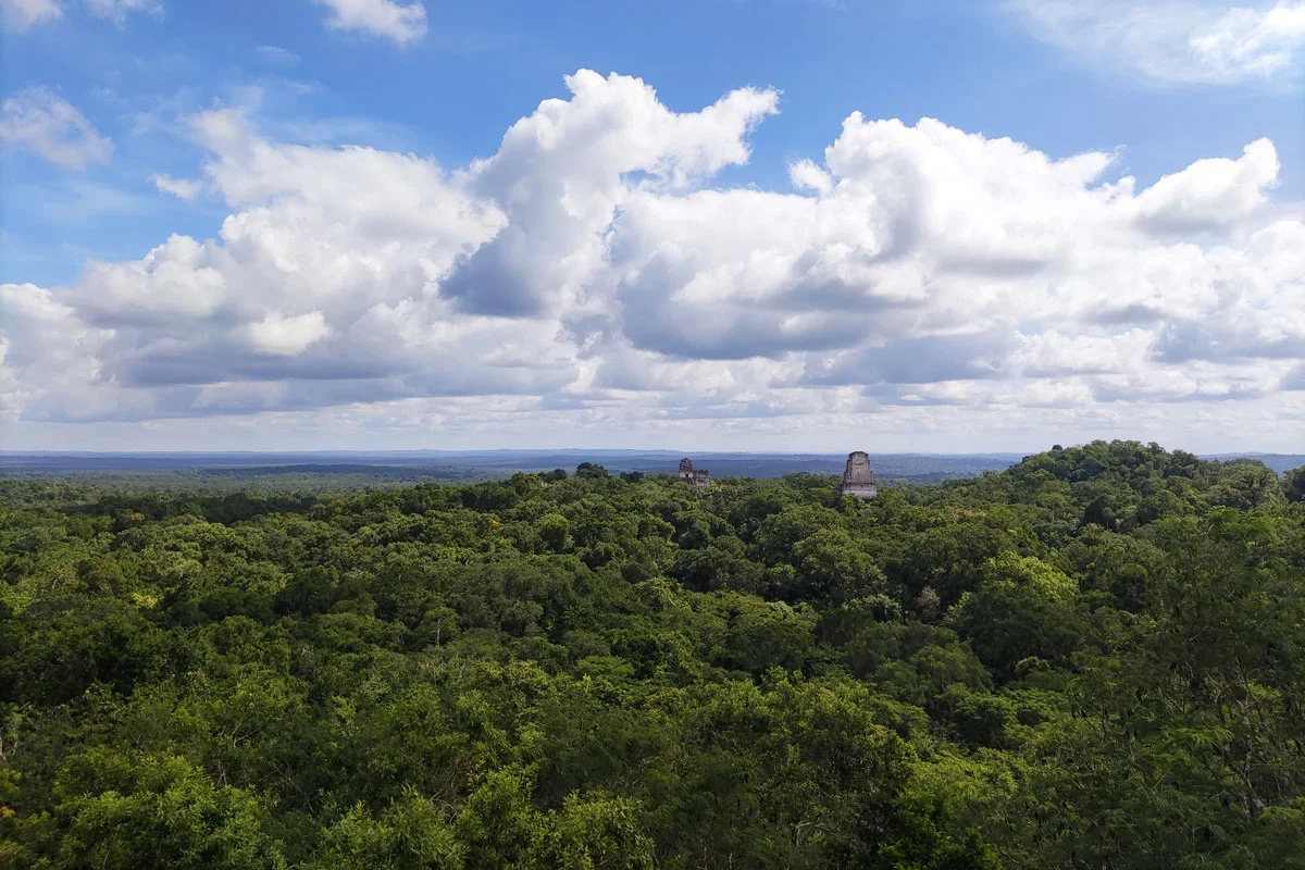 Temples de Tikal dans la jungle tikal temples mayas flores jungle guatemala