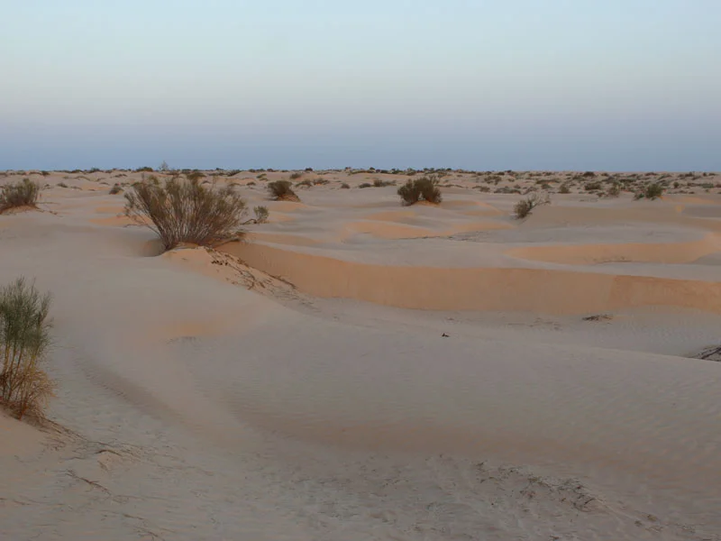 Coucher de soleil Sahara Douz désert
