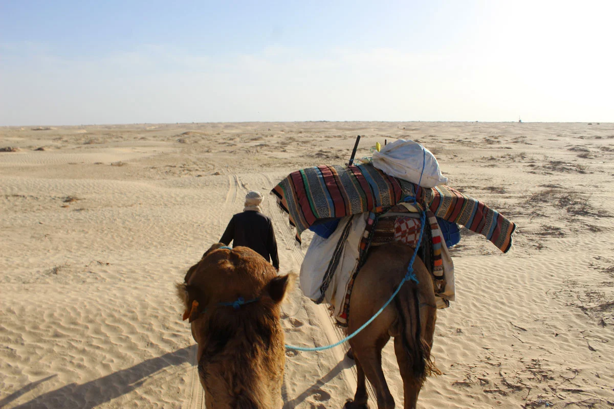Douz désert Sahara dromadaire randonnée trek