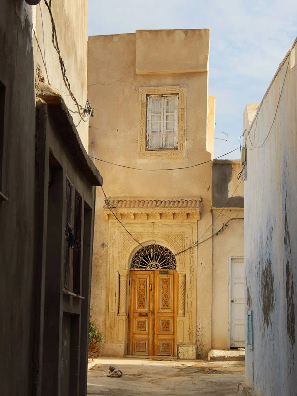 Kairouan ruelle chats ville bleue Tunisie itinéraire