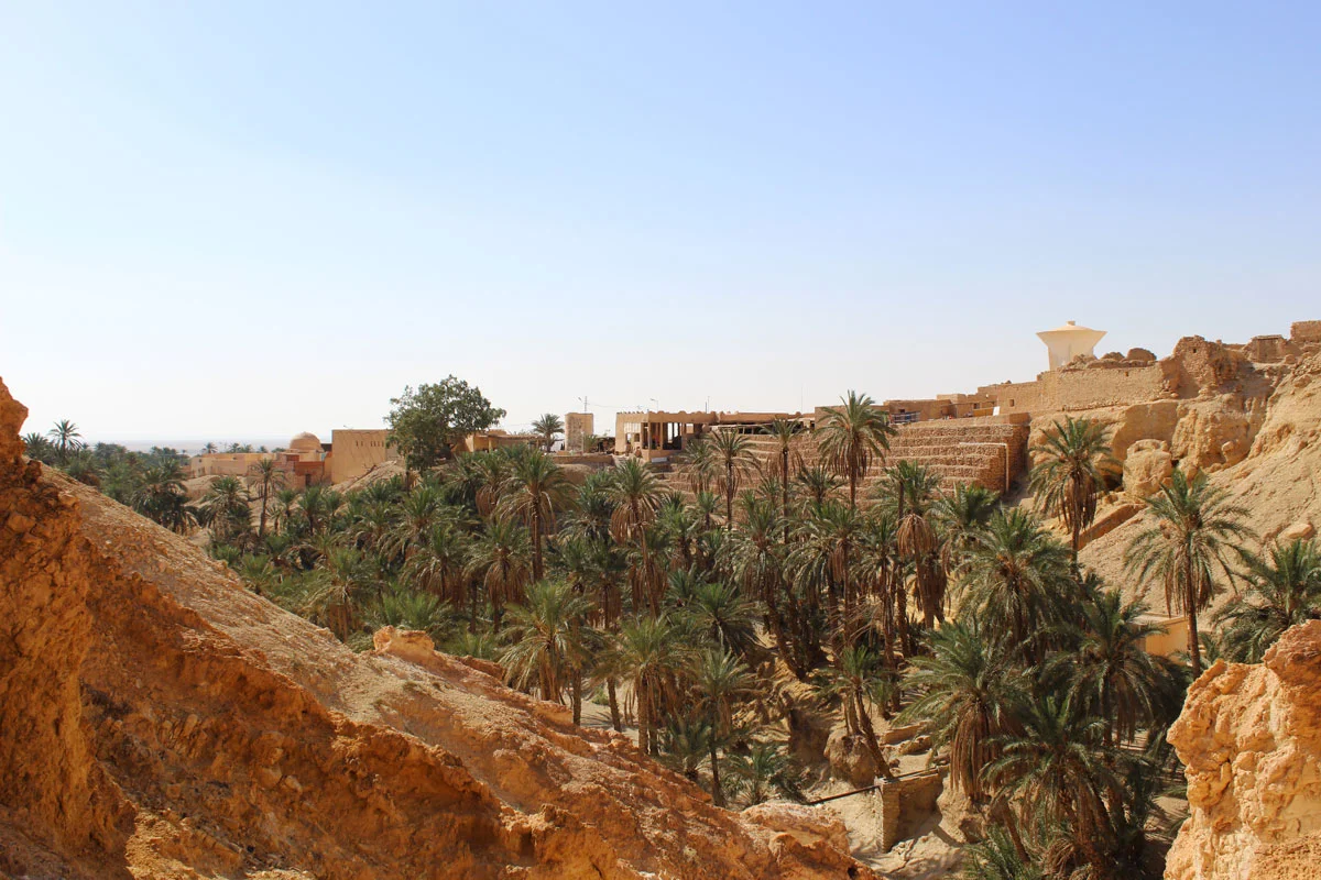 Oasis Chebika Tozeur sud Tunisie itinéraire road trip