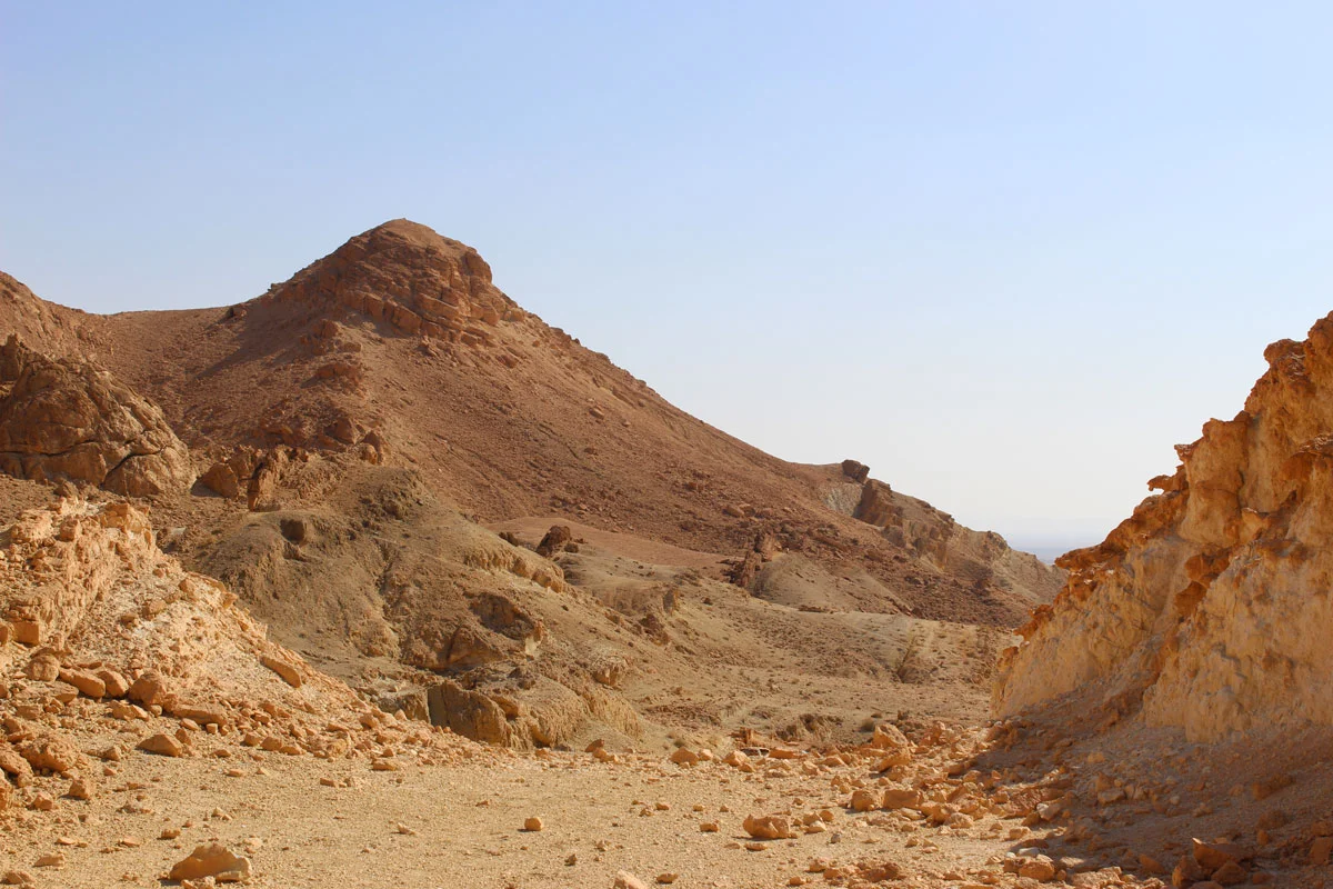 Oasis Chebika canyon paysage désert Sahara