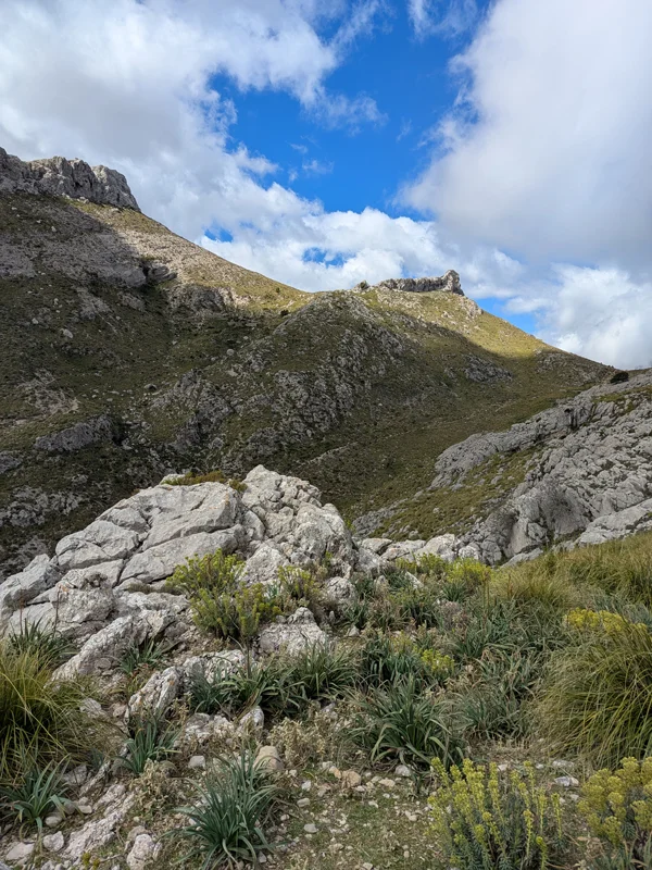 ruta de pedra en sec trek