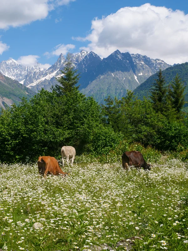 trek mestia zhabeshi géorgie itinéraire