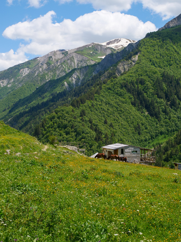 mestia zhabeshi randonnée géorgie