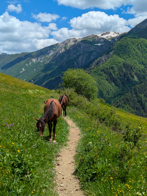 trek mestia ushguli svanétie