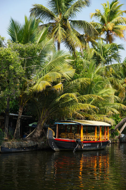 Chellanam Kochi Backwaters Kerala Inde du Sud itinéraire voyage