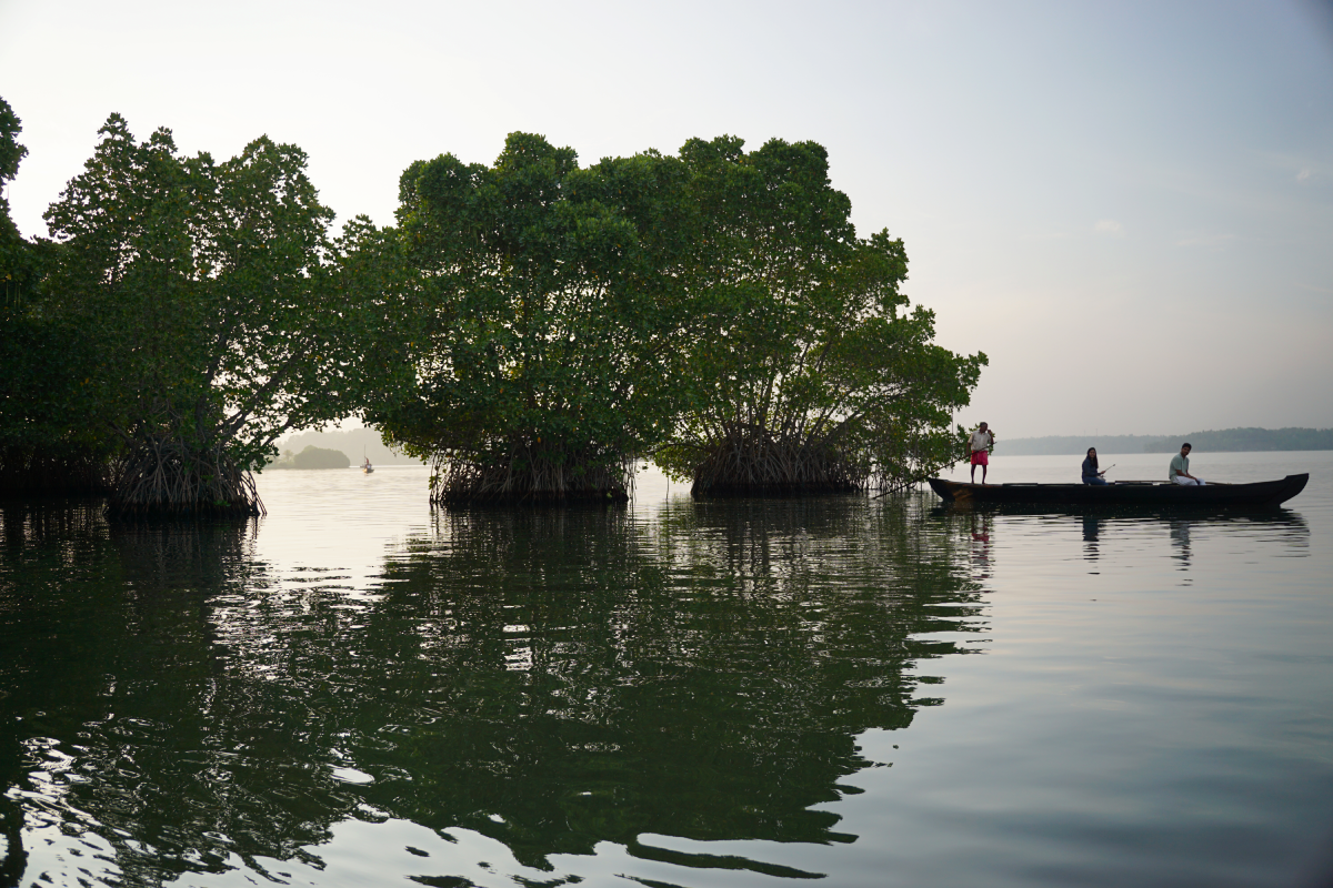 lac ashtamudi munroe backwaters kerala