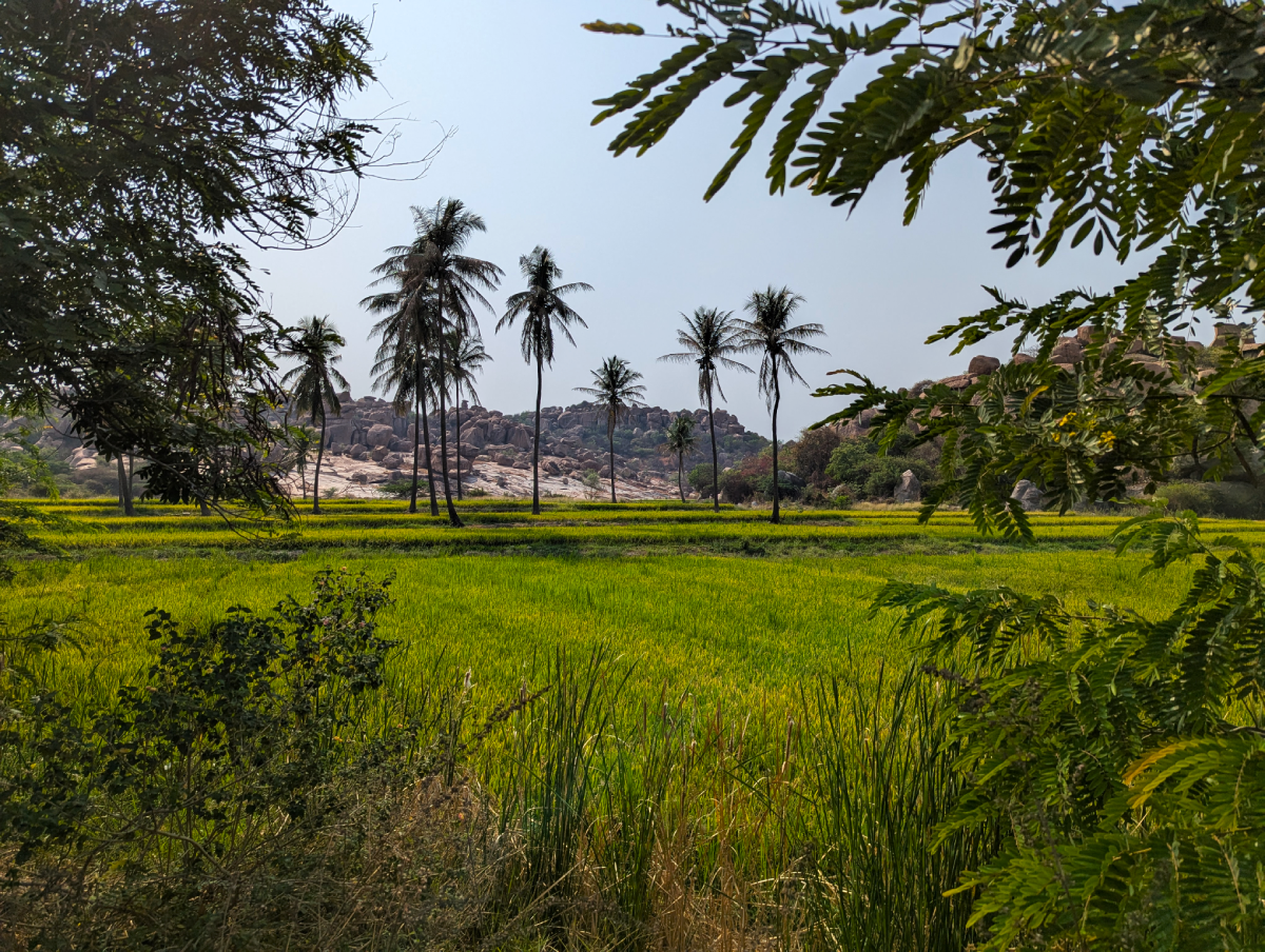 Karnataka paysage rivière