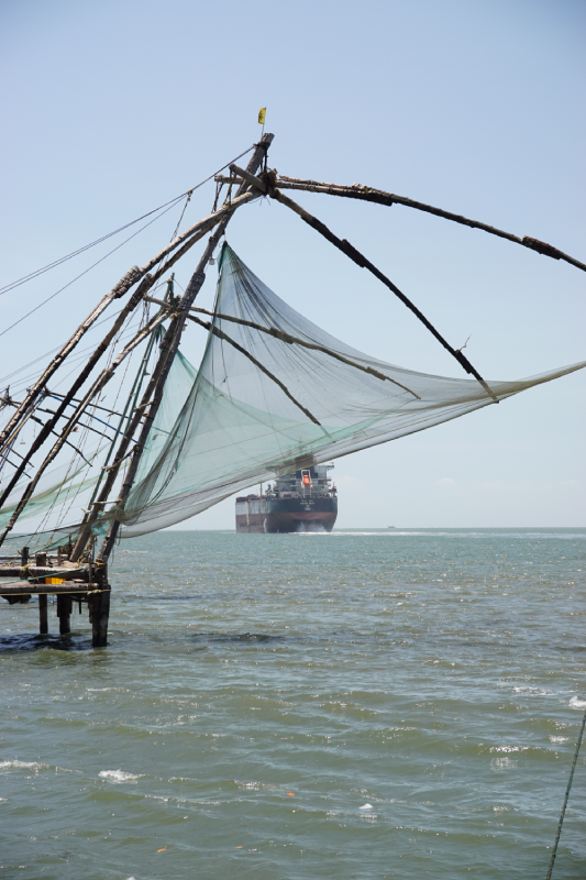 Kochi filets pêches océan indien