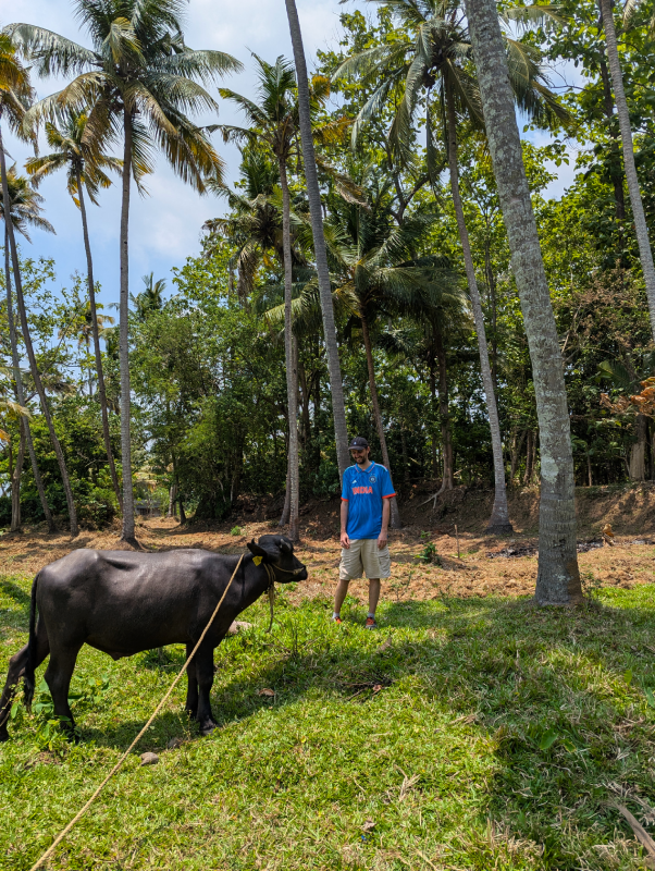 munroe island kerala inde du sud itinéraire voyage