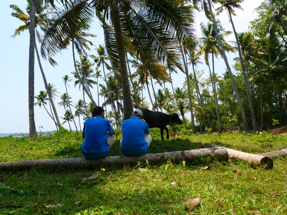 le calme à munroe island