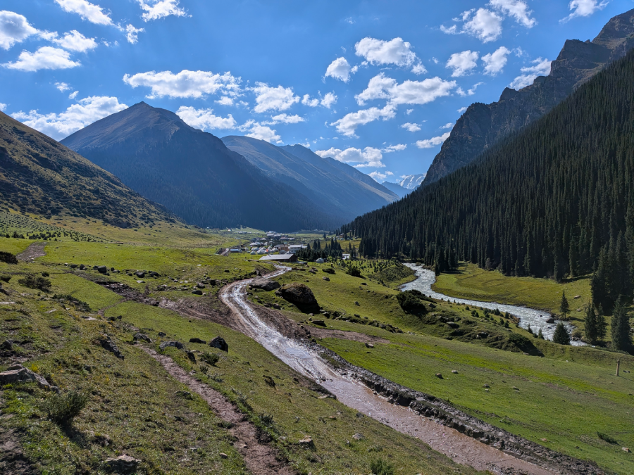 altyn arasha