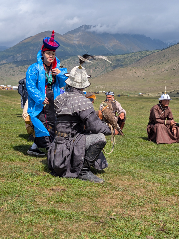 fauconnerie world nomad games
