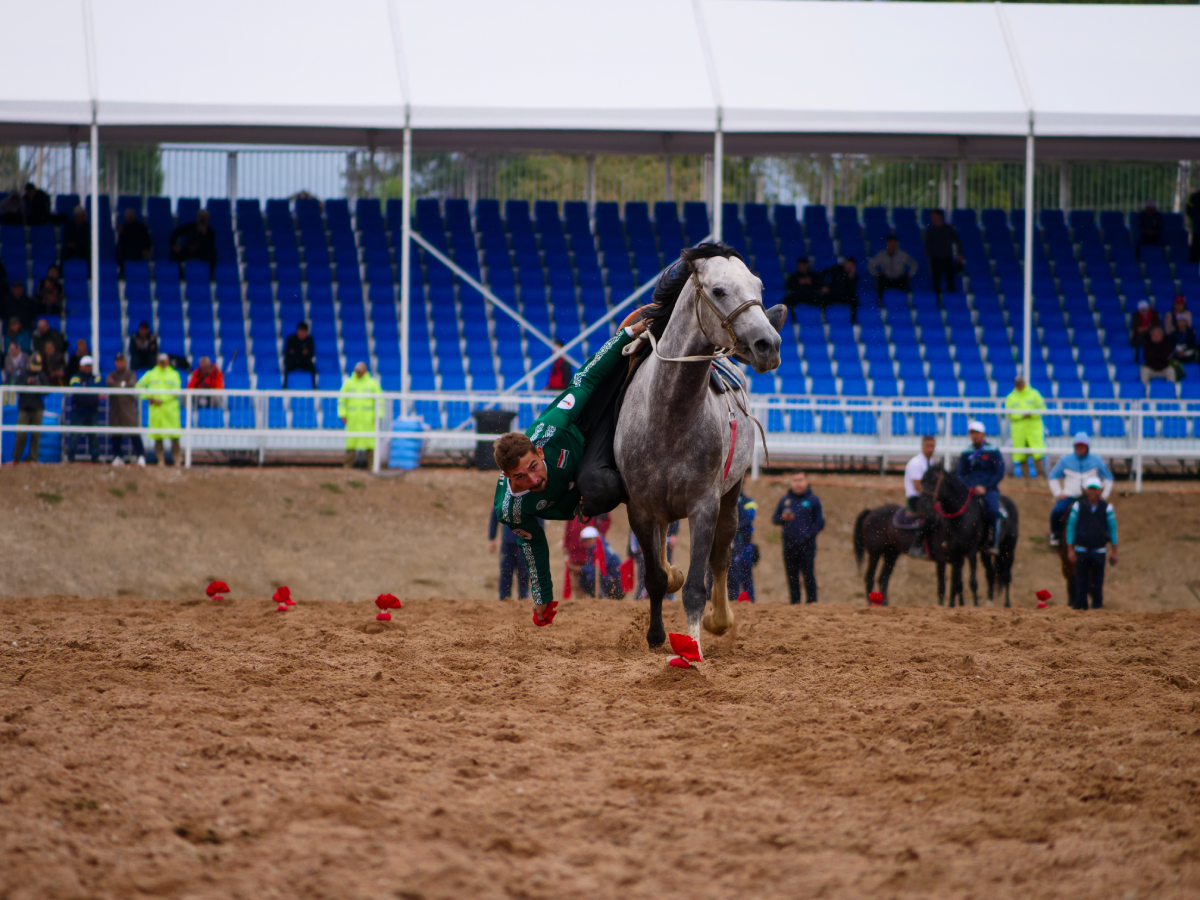 Tyiyn Enmei World Nomad Games